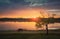 Idyllic rural landscape, spring sunset scene at the lake with a greening willow tree and a beautiful horse grazing grass on the