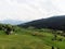 Idyllic rural remote swiss countryside alpine mountain landscape panorama in Wildhaus Toggenburg St Gallen Switzerland