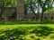 Idyllic scene from Topkapi palace inner yard, Istanbul, Turkey. Light and shadow on grass red flowers and ancient wall