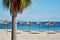 Idyllic scenery, concept of summer holidays, palm tree and straw parasols in a row on the coast of Mediterranean Sea, Majorca