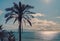 Idyllic scenery tropical landscape silhouette of lush palm tree leaves glowing sun over shiny calm smooth Mediterranean Sea waters