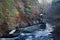 Idyllic Scottish Forrest Landscape with water and hut