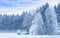 Idyllic serene panoramic winter landscape snowy frosty forest