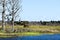 Idyllic and Serene Story Book Setting of Old Trees Overlooking a Lake and Nature Preserve in Florida