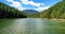 Idyllic shot of river amidst forest