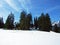 An idyllic snow fairy tale in the early spring at the foot of the Churfirsten Alpine Range, Wildhaus - Canton of St. Gallen