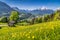 Idyllic spring landscape in the Alps with traditional mountain chalet