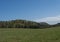 Idyllic spring landscape in Lusatian mountains, with lush green grass meadow, fresh deciduous and spruce tree forest