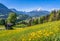 Idyllic springtime landscape in the Alps with traditional mountain lodge