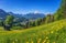 Idyllic springtime landscape in the Alps with traditional mountain lodges