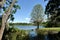 Idyllic Story Book Setting of Tree Overlooking a Lake near the University of Florida in Gainesville, Florida