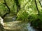 Idyllic stream with trees on the shore in beautiful light  2