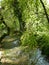 Idyllic stream with trees on the shore in beautiful light  3