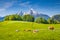 Idyllic summer landscape in the Alps with cows grazing on meadows