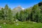Idyllic summer mountain landscape in East Tyrol, Tyrol, Austria, Europe