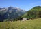 Idyllic summer scene in the Saanenland valley