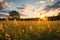 Idyllic sunset field Soft focus on yellow flowers, grass meadow