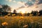 Idyllic sunset field Soft focus on yellow flowers, grass meadow