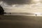 Idyllic Surfing At Piha, NZ