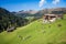 Idyllic swiss landscape with cattle herd grazing on the hillside