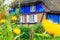 Idyllic thatched-roof cottage at the Lieper Winkel, Usedom, Germany