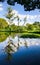 Idyllic tree reflection in the lake