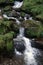 Idyllic Triberg Waterfalls