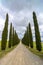 Idyllic Tuscan landscape with cypress alley near Pienza, Val d\'Orcia, Italy