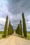 Idyllic Tuscan landscape with cypress alley near Pienza, Val d\'Orcia, Italy