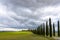 Idyllic Tuscan landscape with cypress alley near Pienza, Val d\'Orcia, Italy