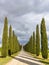 Idyllic Tuscan landscape with cypress alley near Pienza, Val d\'Orcia, Italy