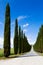 Idyllic Tuscan landscape with cypress alley near Pienza, Vall d`Orcia Italy
