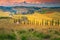 Idyllic Tuscany landscape at sunset with curved rural road, Italy