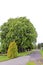 Idyllic typical German farmhouse with big tree in Germany