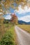 idyllic view through golden birch leaves, walkway at moor landscape upper bavaria in autumn, vertical