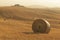 Idyllic view of hilly farmland in Tuscany