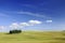 Idyllic view, Italian beautiful landscape, group of cypresses among green fields of tuscany