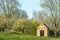 Idyllic view of an old hut at the Schwielowsee Lake