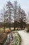 Idyllic view over the Baudouin park with a walking path along the Molenbeek creek and bare trees in winter, Belgium