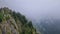 Idyllic view to the foggy valley from the top of the mountain. Dense mist clouds above the Carpathians pine forest