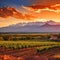 Idyllic Vineyards of Mendoza, Argentina