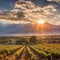 Idyllic Vineyards of Mendoza, Argentina