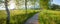 Idyllic walkway between birch trees, from schlehdorf to lake kochelsee