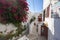 Idyllic way through cycladic white houses and pink flowers