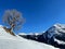 Idyllic winter landscape in the Austrian Alps. Bregenzerwald, Vorarlberg.