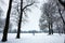 Idyllic Winter Nature Snowscape with Trees, Scenic Background for the Cold Season, with Man and Dog