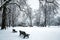 Idyllic Winter Nature Snowscape with Trees, Scenic Background for the Cold Season, with Park Benches