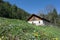 Idyllic wooden hut with fresh green gras