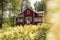 Idyllically situated typical red Swedish country house