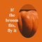 If the broom fits, fly it text in white with halloween pumpkin on orange background